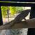 Rhino Iguana and Cage 4 thumbnail