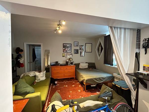$2,350 / 1br - 1 dormitorio 1 baño disponible 1 de octubre (Brooklyn)63854288117251123