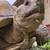 Sulcata Tortoise 1 thumbnail