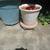 Plant Pot Bases On Wheels 2 thumbnail