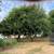 Landscaping/Demolition 15 thumbnail