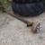 Trailer axle 3 thumbnail
