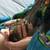 Turquoise Conure 6 thumbnail