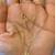 14K Yellow Gold necklace with Beautiful Pendant in shape of a Leave 19 thumbnail
