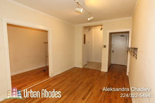 $1,350 / 400ft2 - Huge Studio, 1 Bath in Lakeview, Available: 11/1/2025 (Lakeview)63899122701442124