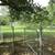 5 AC Light Industrial site with 6,172' office $498,000 4 thumbnail