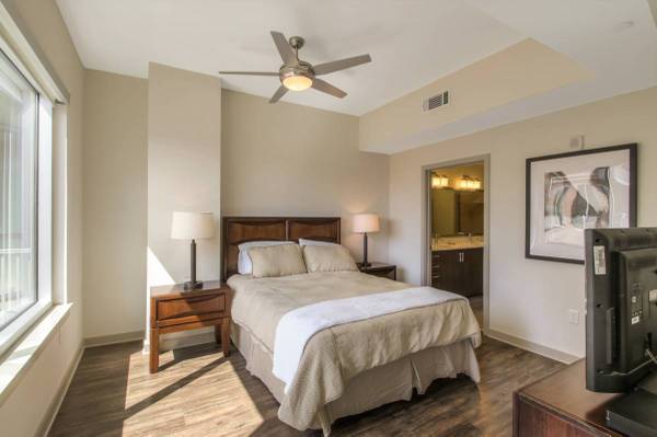 $1,300 / 1br - 722ft2 - Fenway/Kenmore 1 Bd Apartment (Audubon Circle)64167983174529122