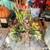 Unique Succulent Topped Pumpkins & Gourds Great Fall Decor 7 thumbnail