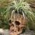 Skull Pots 1 thumbnail