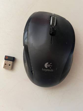 COMPUTER MOUSE 1