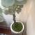 Artificial plant 3 thumbnail