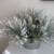 Holiday Decor 4 thumbnail