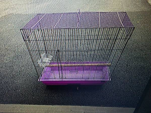 Birdcage 1