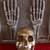 Brass Skull 11 thumbnail