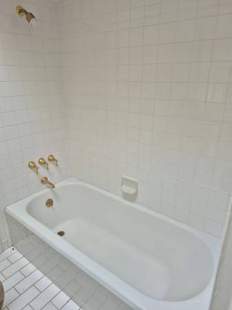 29x64 Steel tub with fancy shiny brass fixtures All for 1