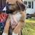 Dutch herder akbash pups 1 thumbnail