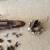 Lego 9496 Star Wars Desert Skiff - NOT A COMPLETE SET 4 thumbnail