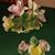 Capodimonte Pieces (2) 1 thumbnail