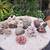 Aquarium Rocks 2 thumbnail
