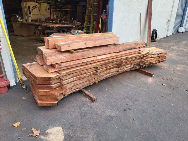 Red gum eucalyptus 1