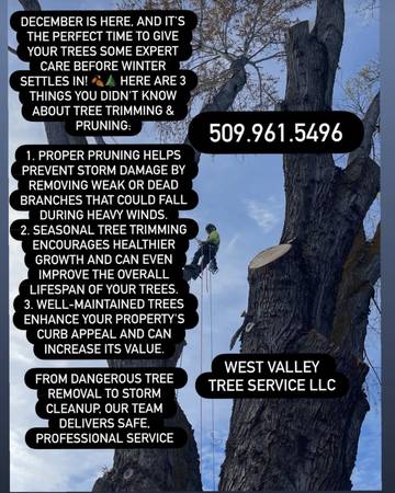Dump and tree services message us 1