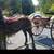 Two Halflinger Draft Horse ,both Mares 3 thumbnail