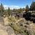 Mossy landscape rocks 16 thumbnail