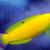 Fish Tank 240 Gallons (Re-homing) 19 thumbnail