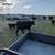 Bull Calves - Black Angus 4 thumbnail