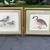 Framed Waterfowl Prints Teal Ducks Canada Goose Canadian Print is 11x9 1 thumbnail