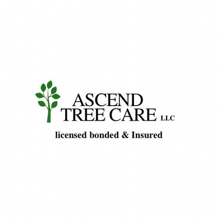 Ascend Tree Care:Tree Pruning, Tree Removal, Certified Arborist 1