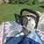 Stihl ms261 6 thumbnail