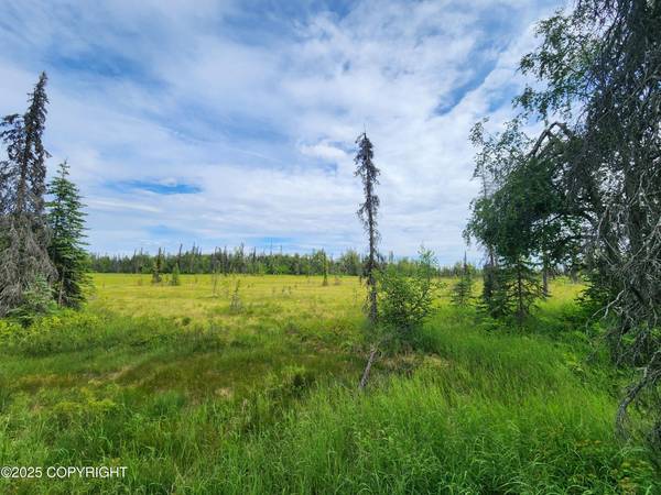 $124,000 / 1br - 720ft2 - 17148 S Josey Circle, Petersville, AK 99683 (Petersville)64148846184321123