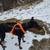 Rehoming Doberman 1 thumbnail
