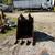 Cat 330 Bucket 1 thumbnail