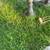 Concrete birdbath 3 thumbnail