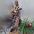 Sugar Gliders 4 thumbnail