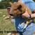 Kune Kune Piglets 16 thumbnail
