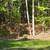 2.3 Acre Lot Waterfront Access (make offer) 6 thumbnail