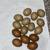 Olive egger pullets coop ready 7 thumbnail