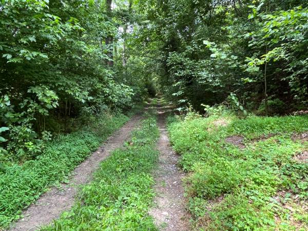 $149,999 / 74052ft2 - River Front Lot Buildable (Maurertown VA)64040028256899122