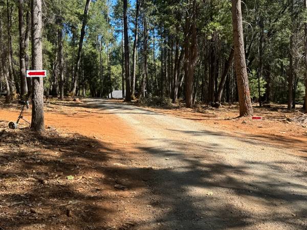 $189,000 Stunning 12-acre property offers a Park-Like Setting (Grass Valley)63952107814019120