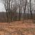 Vacant Lot on Wisconsin River 16 thumbnail