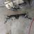 Front axle 1 thumbnail