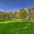 Situated in Sequim!, 2 BD, Balcony 8 thumbnail