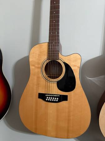 Takamine G Series 12 string acoustic electric 1