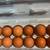 Bulk eggs 1 thumbnail