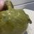 Mid century Modern Abstract Pottery with green glaze Ogre Face 4 thumbnail