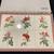 Jason’s Products Roses Designer Collection Placemats (Set of 4) Rectan 7 thumbnail