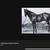 2 yo Bay Mare Horse 2 thumbnail